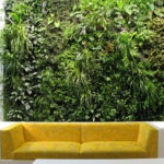Casa green