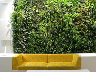 Casa green ispirandosi alla natura