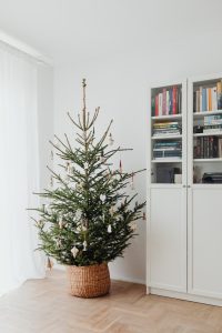 Scopri di più sull'articolo Idee per mettere le luci sull’albero di Natale