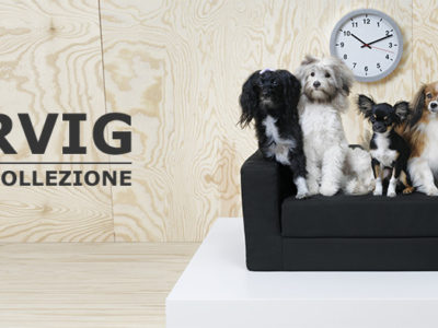 Ikea per cani e gatti: arriva la nuova collezione