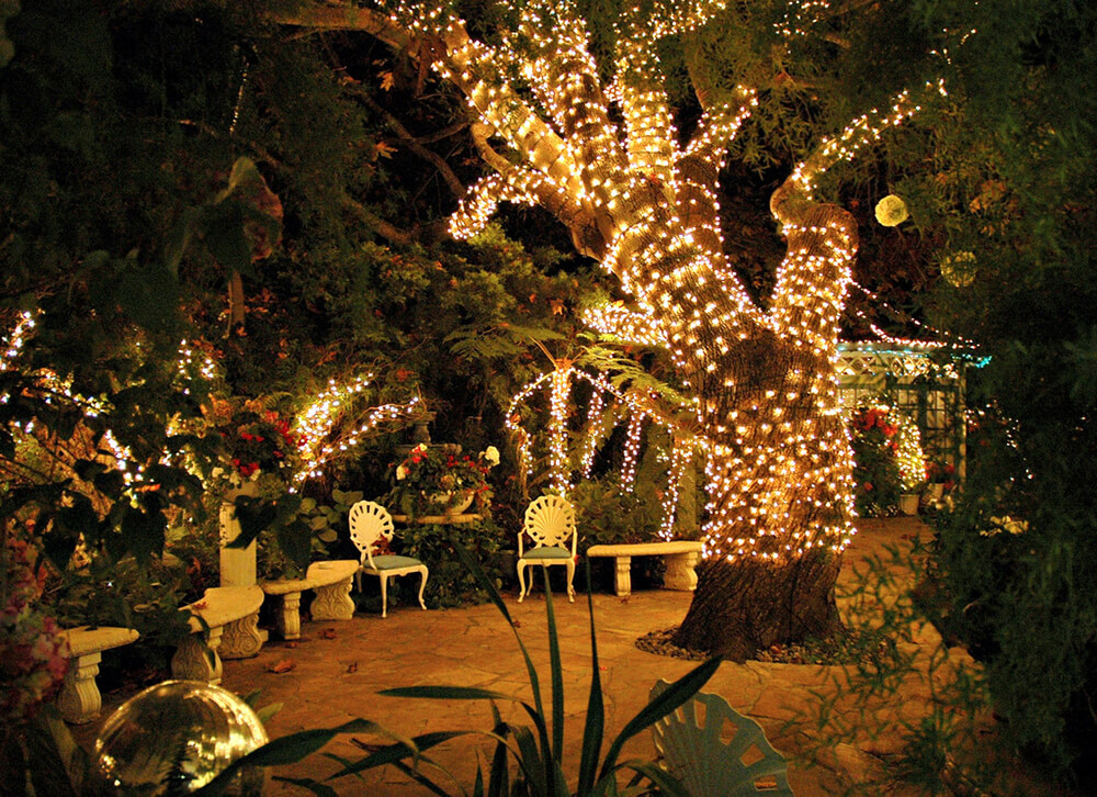 Luci di Natale nel giardino